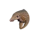 Sunda Pangolin in Planet Zoo 2
