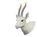 Leucistic Thomson's Gazelle colour morph in Planet Zoo 2