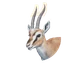 Thomson's Gazelle in Planet Zoo 2