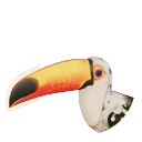 Part Leucistic Toco Toucan colour morph in Planet Zoo 2