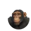 Western Chimpanzee in Planet Zoo 2