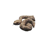 Western Diamondback Rattlesnake in Planet Zoo 2