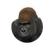 Western Lowland Gorilla in Planet Zoo 2