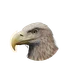 White-Tailed Sea-Eagle in Planet Zoo 2
